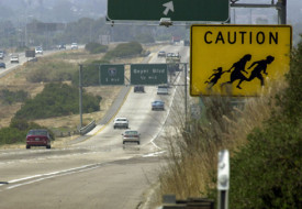 When Xenophobia Trumps Common Sense, Common Decency Often Goes By the Wayside